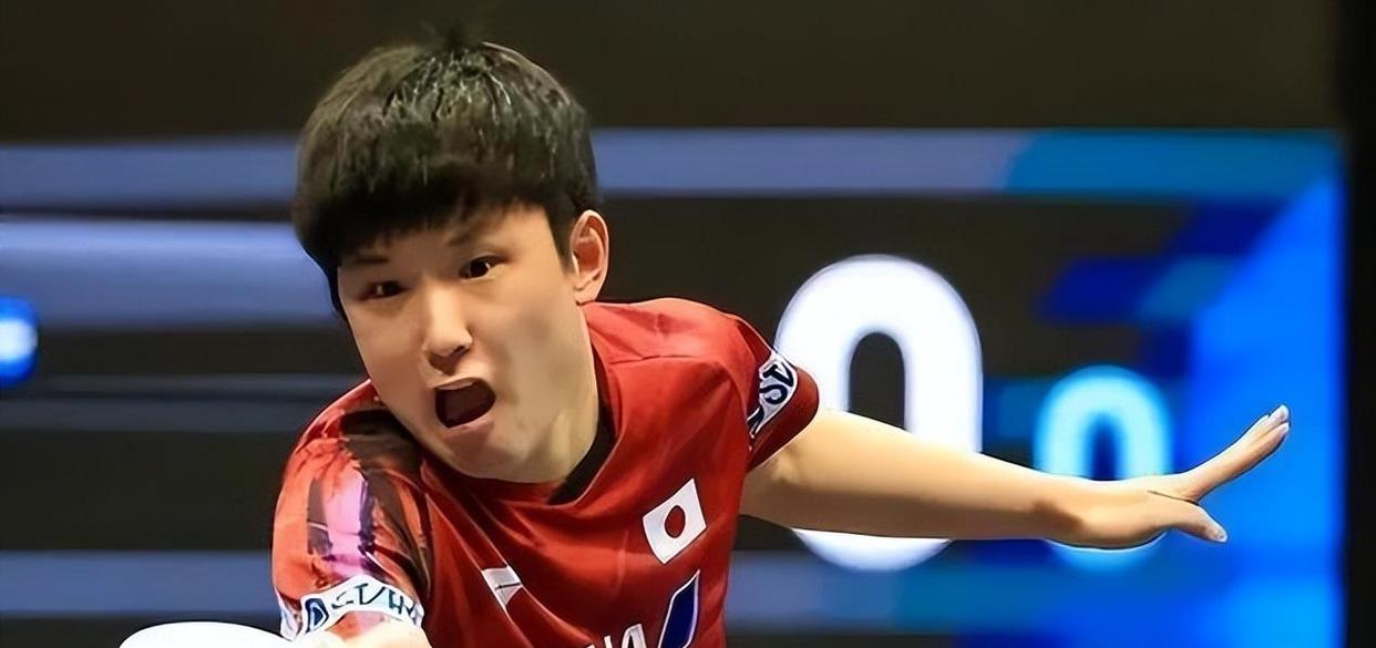 中国队逆转韩国队，张本智和状态火热的简单介绍