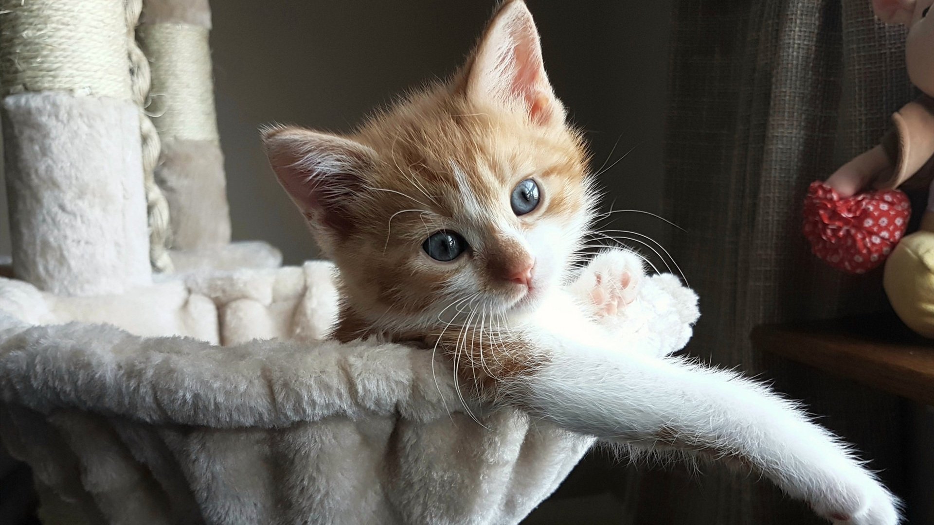 克罗地亚奏响马德里挽歌，奥利维耶，那个拆解西蒙尼战术的节奏大师