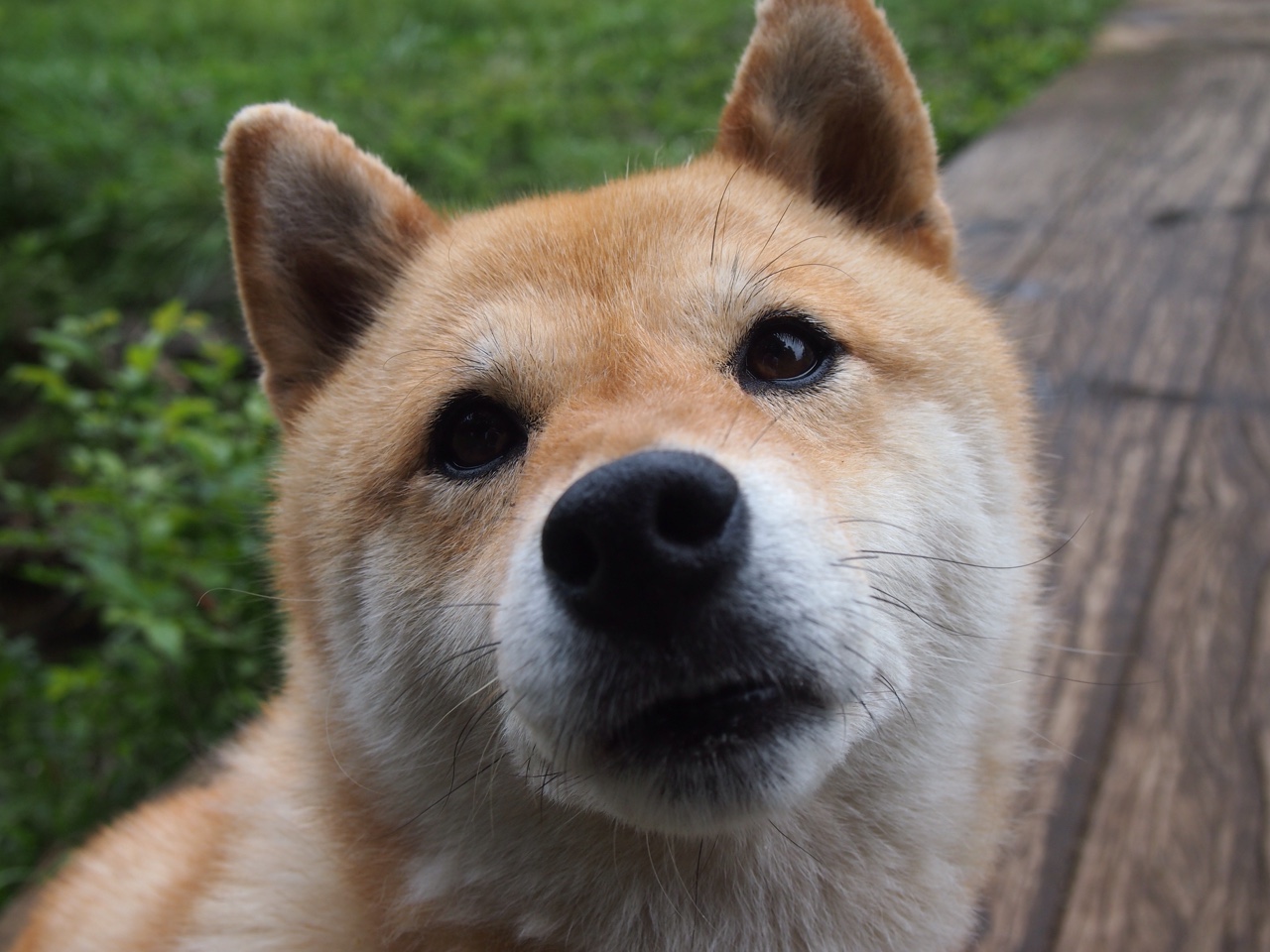 开云体育app-命运交叉的夜晚，当七冠荣光与东方新锐相遇