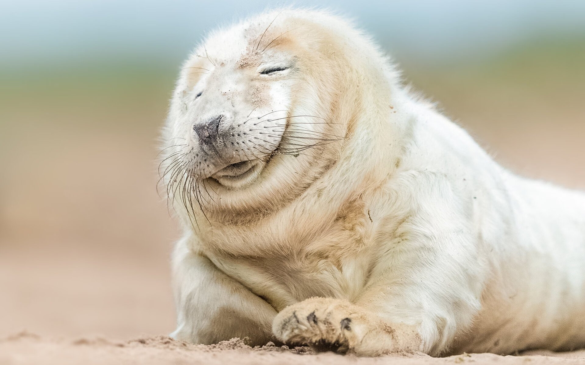 艺术之城的战术画卷，当佛罗伦萨的轻取哲学遇见姆巴佩的防守枷锁